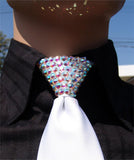 Aurora Borealis Crystal Stoned Men’s White Zipper Tie (size 30' stones).